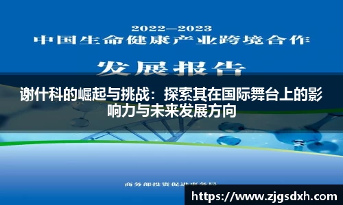 谢什科的崛起与挑战：探索其在国际舞台上的影响力与未来发展方向