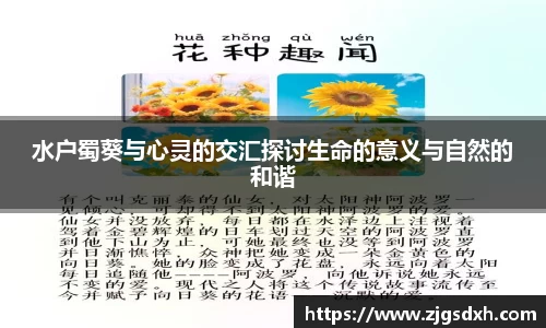 水户蜀葵与心灵的交汇探讨生命的意义与自然的和谐